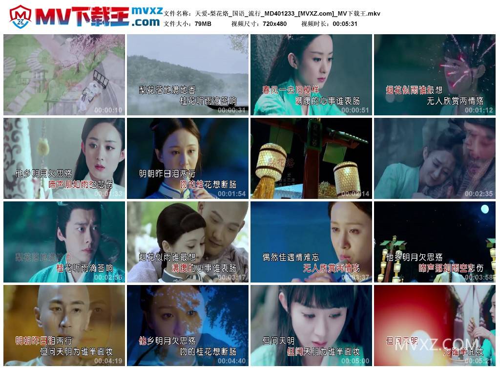 天爱-梨花烙_国语_流行_MD401233